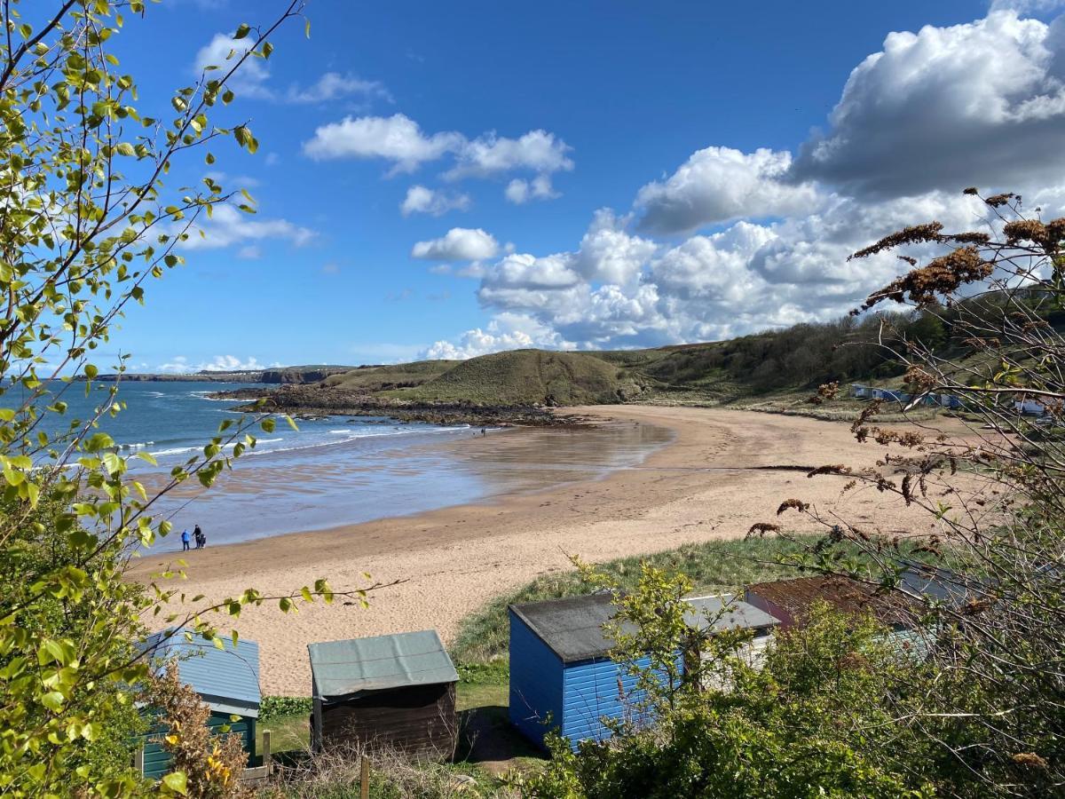 Ferienwohnung 1 The Bay - Stunning Contemporary Flat On The Scottish Coast Coldingham Exterior foto